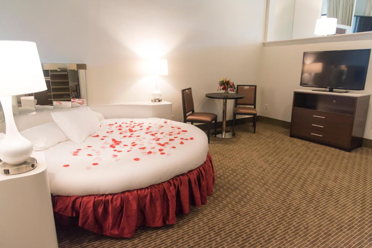 Cove Harbor Suite